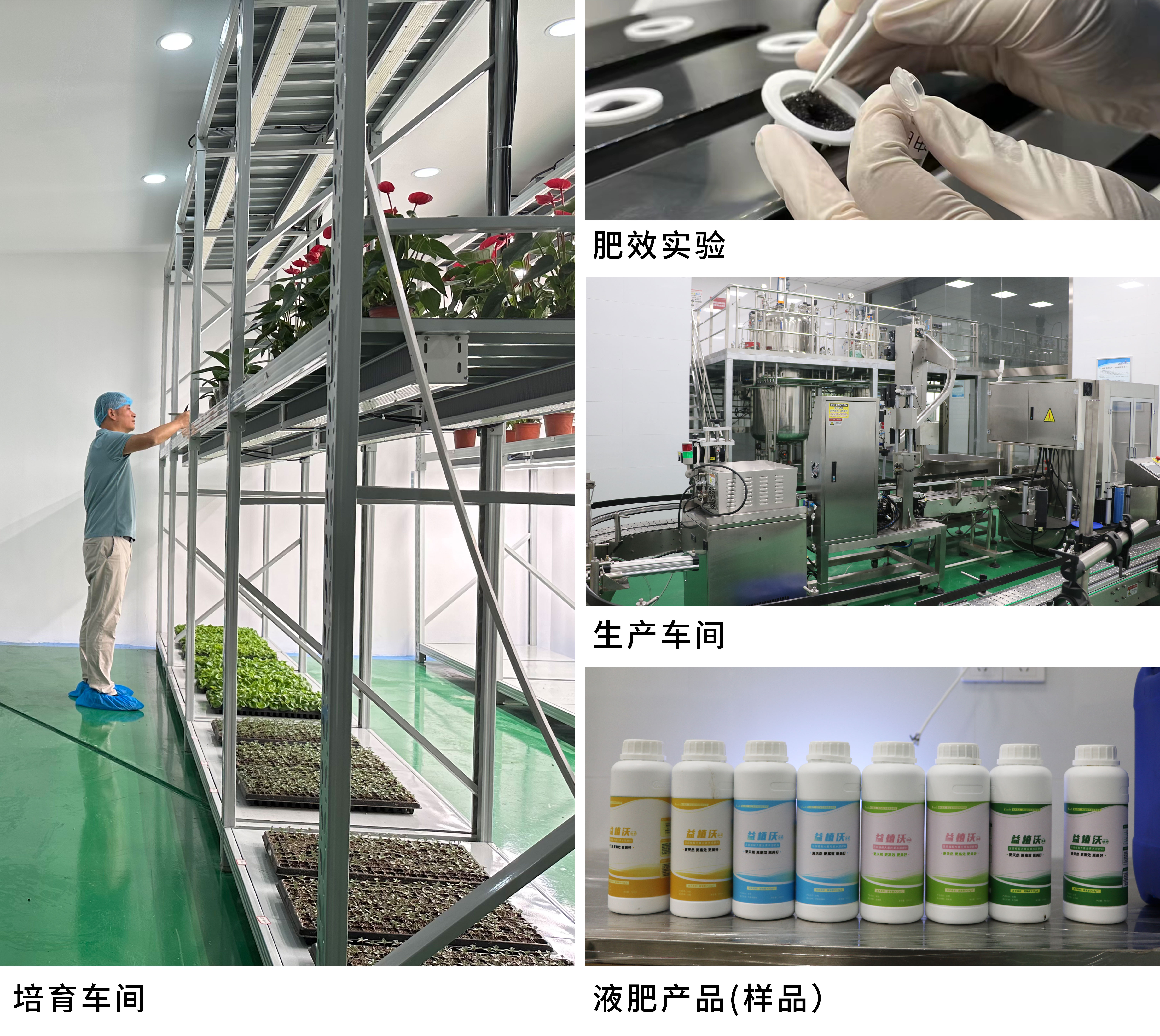 &#20122;&#32654;&#40;&#20013;&#22269;&#41;&#20307;&#32946;&#23448;&#26041;&#32593;&#31449;